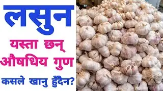 लसुनको सेवन कसैलाई फाइदा कसैलाई हानी। #mummynepal #mummynepalchannel #foods #nepal