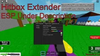 Randomizer  Hitbox Expander Script