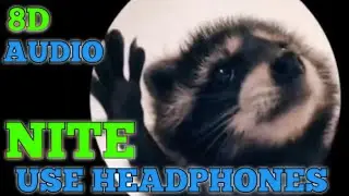8D Audio - NITE | Raccoon Dancing #tiktokviral #tiktokmusic #8daudio #8dmusic