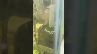 атака улиток
