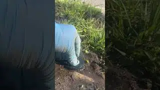 How to Flush a Sprinkler pop up