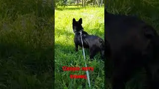 покувыркаемся