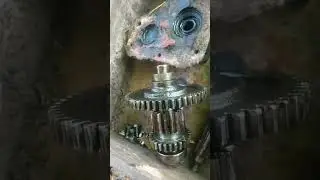 знову деференціал