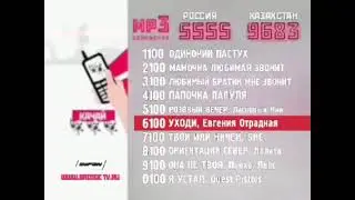 Реклама 5555 9683 код 1100 Ленин (2007-2008).mp4