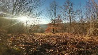 GoPro HERO 9 BLACK | 4K Nature Footage (Ultra HD) | Romania