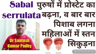 Sabal serrulata  uses in hindi || Sabal serrulata Q uses for females and Prostatomegaly in males.