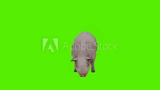 3d render green screen chroma key animation isolated