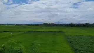 More From the NGHE Rice Paddy Cafe in Hoi An, Vietnam (2024)