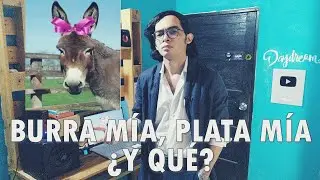 MY DONKEY, MY MONEY, SO WHAT?
