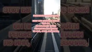 #Чат-боты для бизнеса: ваши идеальные помощники 🤖