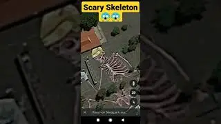 Google earth scary skeleton location #Googleearth #skeleton #shorts #cat