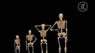 Как мы будем выглядеть через 500 лет