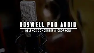 Roswell Pro Audio - Delphos Condenser Microphone