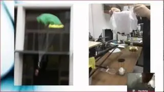 Video Conference
