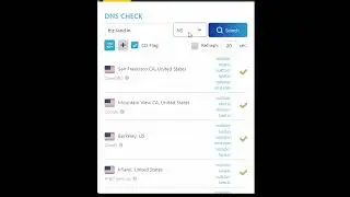 Checking A & NS records on DNS Checker