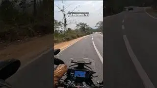 Kaziranga National Park || Moto Vlog || 
