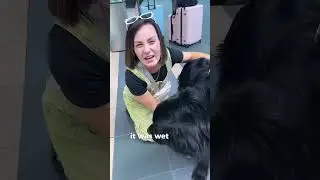 THIS is why we always bring doggy wet wipes!! 😅🦮