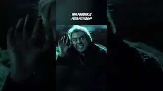 How did Peter Pettigrew OUTSMART Sirius?