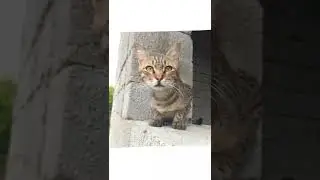|•Мини•|~Клип~💗