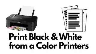 How to Print Documents in Black and White