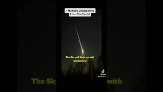 If Humans Disappeared From The Earth?