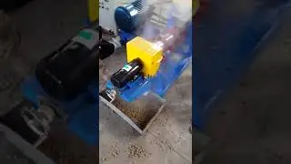 floating fish feed pellet machine working video