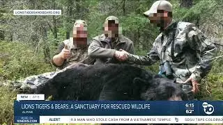 Why you should never take photos with a cub