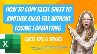 How to COPY EXCEL sheet to another EXCEL FILE without losing formatting