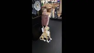 Моя любовь