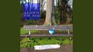 Goodbye for Now