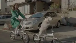 いいなCM　ソフトバンク　白戸家　トリンドル玲奈　「お父さん自転車」篇A/B