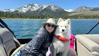 Lake Tahoe Boat Outing With Lily