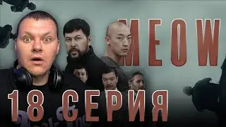 MEOW - 18 серия | МЯУ - 18 серия | каштанов реакция