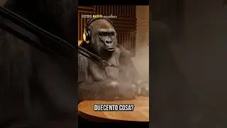 Piccoli problemi di allergia