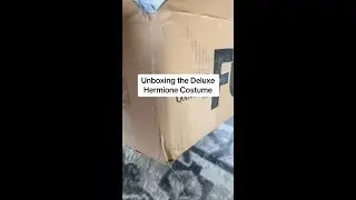 Harry Potter Hermione Costume