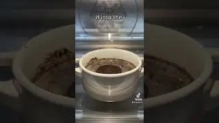 2 Ingredient Oreo Mug Cake 💗🍰