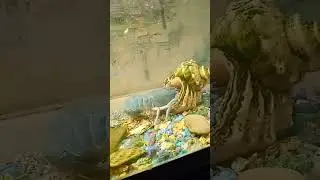 Яша чистит свой домик. 😍