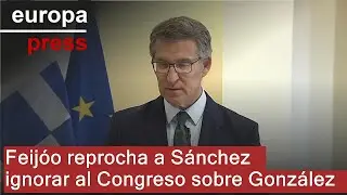 Feijóo acusa a Sánchez de "desoír el mandato del Congreso" para reconocer a González