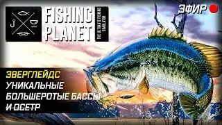 Серьезный конкурент / Экскурсия по Fishing Planet