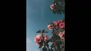 [FREE] Joji x Lofi Chill Type Beat - "How I feel" (Prod. By Jaecee)