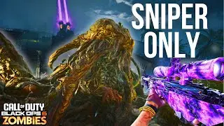Can I Beat Terminus Island Using Only a Sniper ?!!!