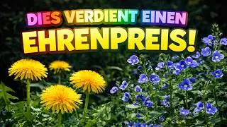 Gartenvideo 03/2026 - Löwenzahn & Ehrenpreis