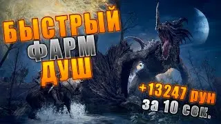 Быстрый Фарм Душ В Elden Ring