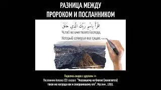 Разница между пророком и посланником
