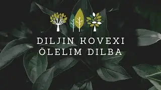 Ölelim Dilba | Diljin Kovexi