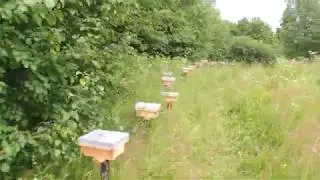 нуклеусы, как стоят.