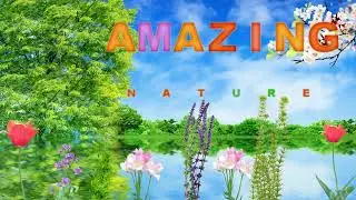 beautiful nature animation cartoon video  | animation cartoon landscape