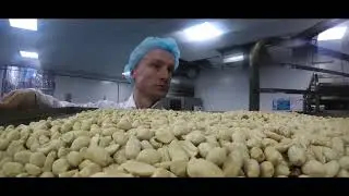 Ludlow Nut Company Co Manufacturing