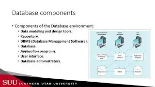 Databases: Database Advantages