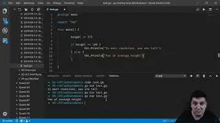 02-01-If and Else Statements in Go